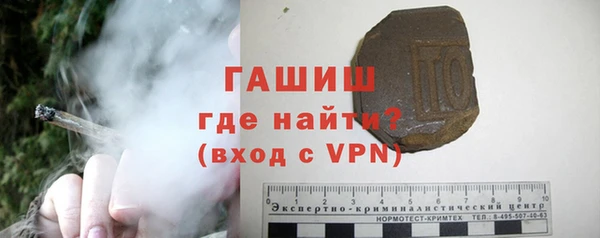 прущие грибы Абаза