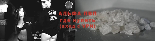 прущие грибы Абаза