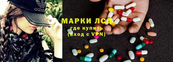 стафф Алзамай