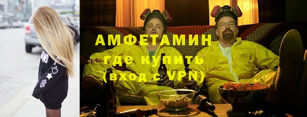 прущие грибы Абаза