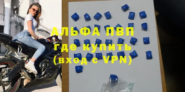 стафф Алзамай